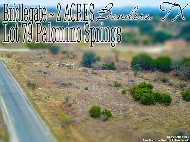 LOT 79 Palomino Spgs - Photo 1