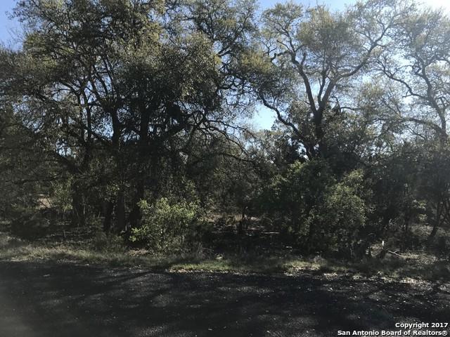 185 Red Tail Cove - Photo 1
