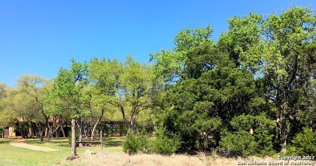 107 Sendera Way - Photo 1