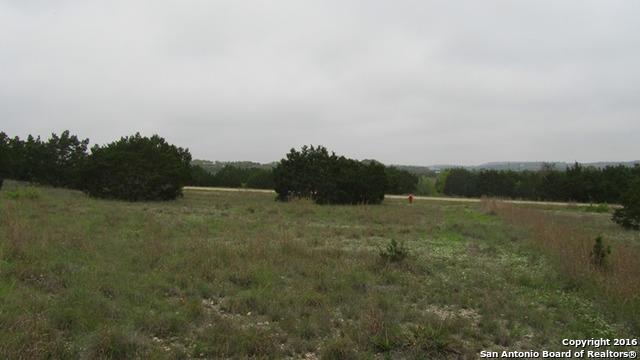 448R Calendula St - Photo 1