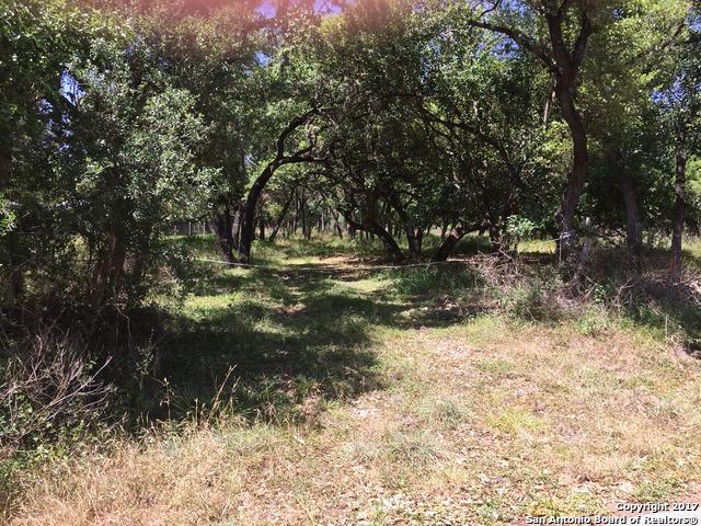 107 Hibiscus Ln - Photo 1
