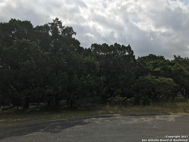 27210 Starry Mountain St - Photo 1
