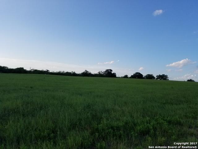 1538 County Road 329 - Photo 1