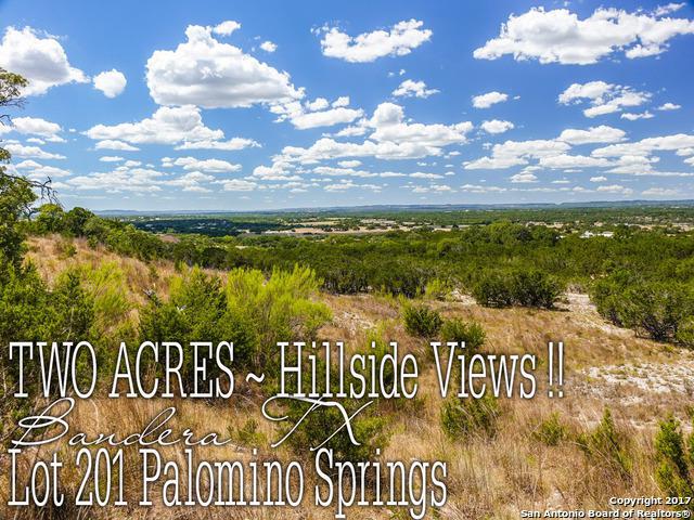 LOT 201 Palomino Spgs - Photo 1