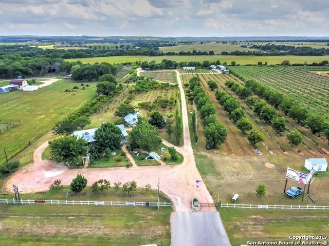 10091 Us Highway 290 - Photo 1