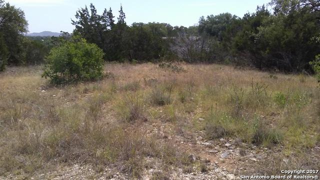LOTS 47, 48 Lakeshore - Photo 1