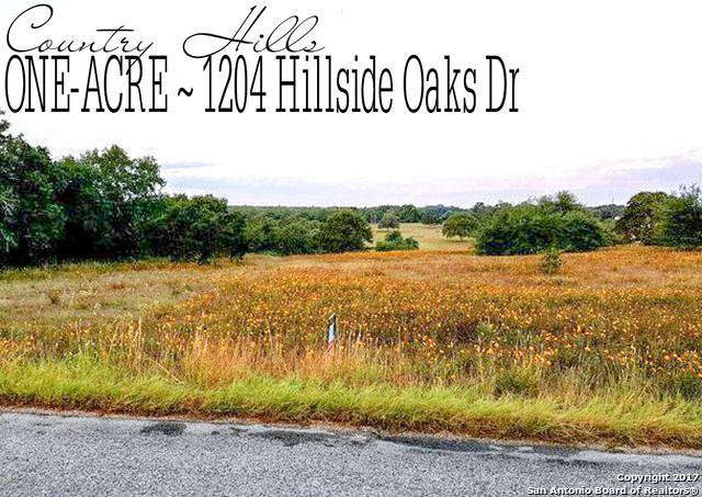 1204 Hillside Oaks Dr - Photo 1