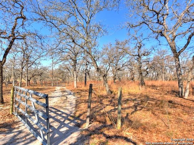 971 T Turkey Foot Ln - Photo 1