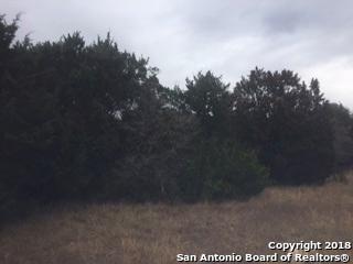 1415 Slumber Pass - Photo 1