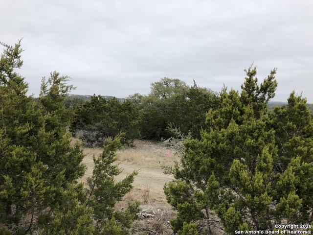 120 Comal Peak - Photo 1