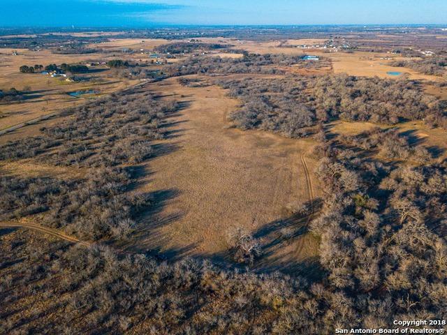 0 State Highway 46 And Pine Meadow Road - Photo 1
