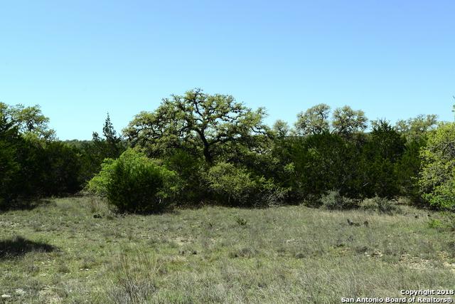 453 Mystic Breeze - Photo 1