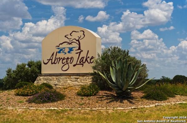 339 Abrego Lake Dr - Photo 1