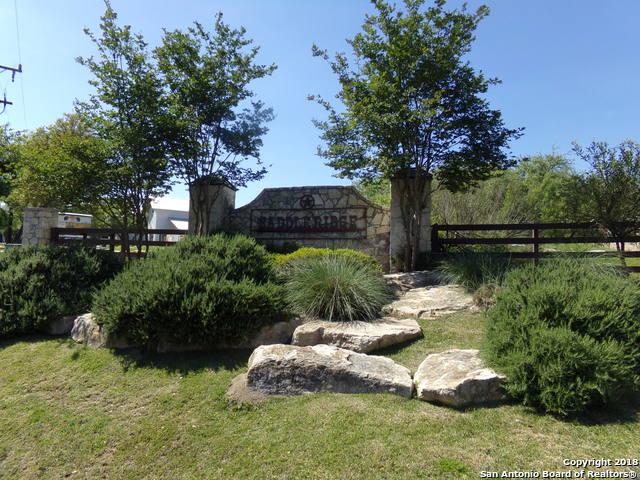 3006 Elk River Trail - Photo 1