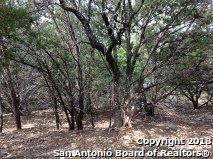 000 Scenic Run - Photo 1