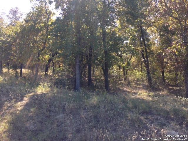 LOT 46 Powder Ridge - Photo 1
