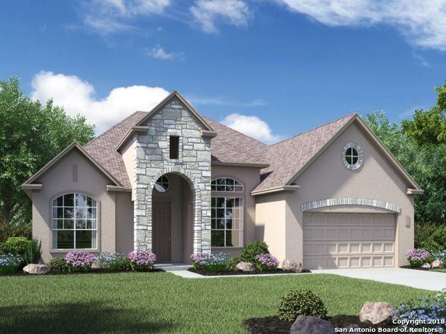 11342 Ivy Cadence - Photo 1