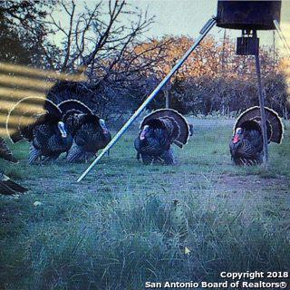 000 South Fork Ranch - Photo 1