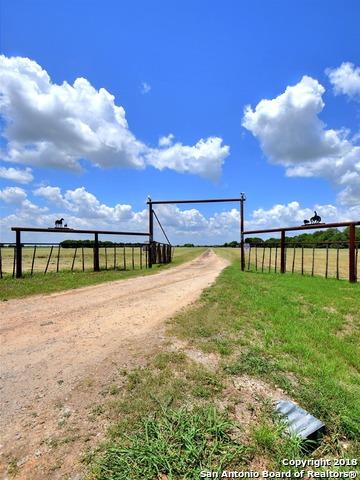000 Lower Seguin Rd - Photo 1