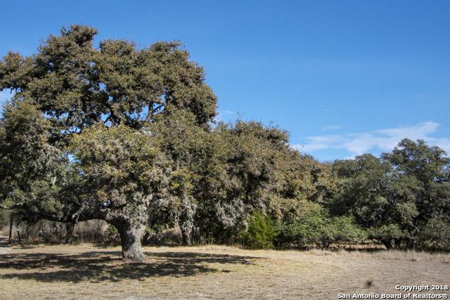 1489 Double C Rd - Photo 1