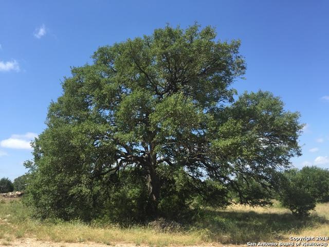 LOT 1521 Via Principale - Photo 1