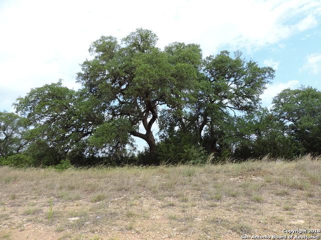 2235 (LOT 1107) Meritage - Photo 1
