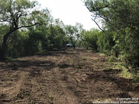 TRACT 2 County Road 4514 - Photo 1