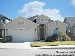 3902 Bogie Way - Photo 1