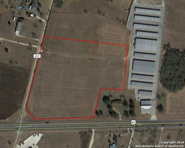 17580 Us Highway 87 - Photo 1