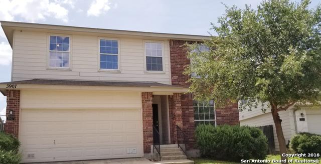 3907 Blue Oak Pass - Photo 1