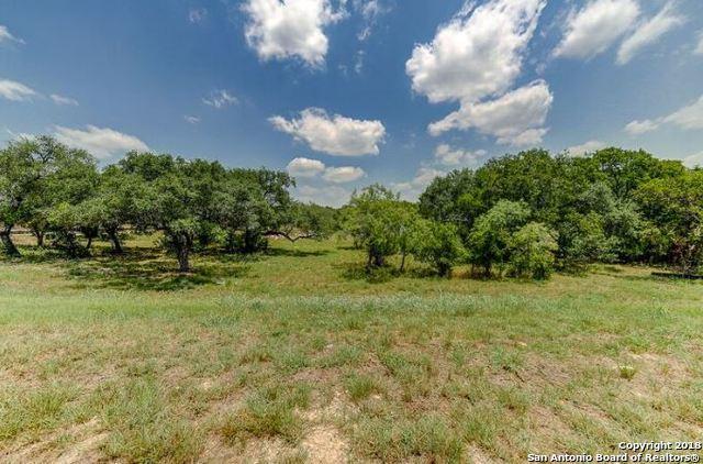 12231 Westcreek Oaks - Photo 1