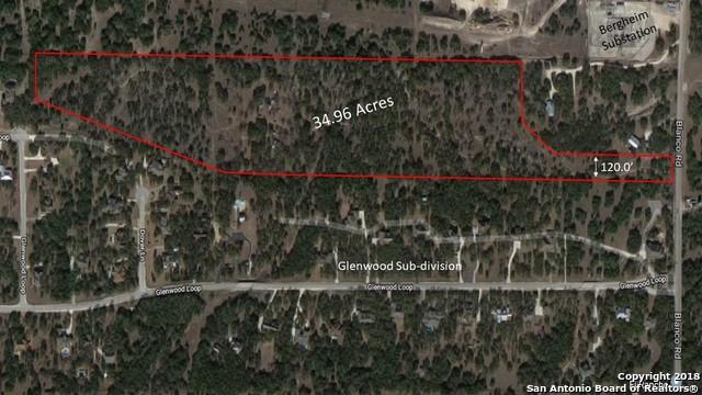 33807 Blanco Rd - Photo 1