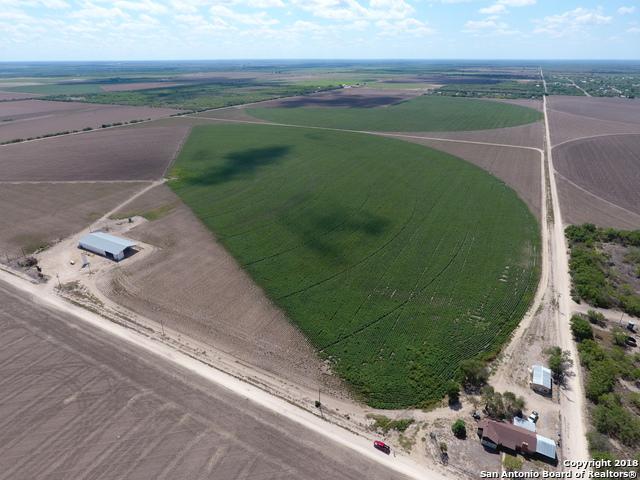 13568 Fm 1346 - Photo 1