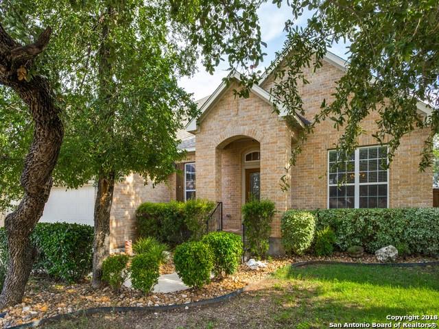 11930 Willacy Trail - Photo 1