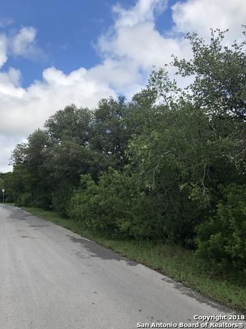 7203 Wild Eagle St - Photo 1