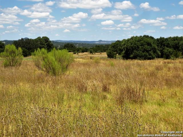 LOT 161 Pinto Cyn - Photo 1