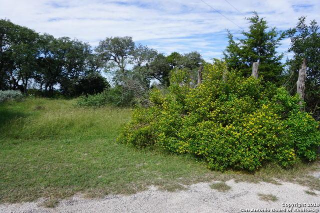 631 Mountain Oaks Dr - Photo 1