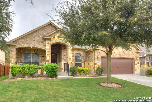 11210 Thorn Apple - Photo 1