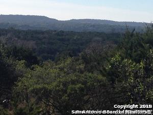 LOTS 2 & 3 Horseshoe Bnd - Photo 1