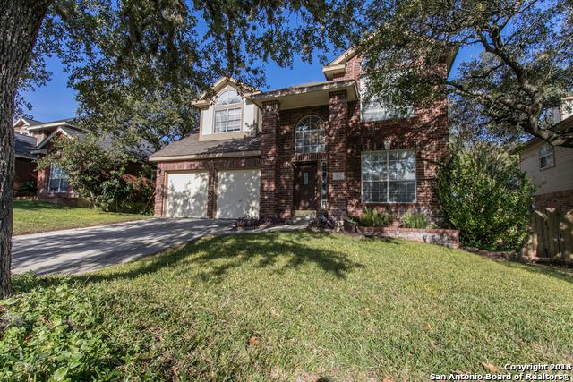 3127 Pinto Pass - Photo 1