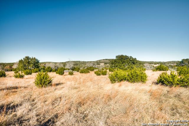 12171 Ranch Road 1623 - Photo 1