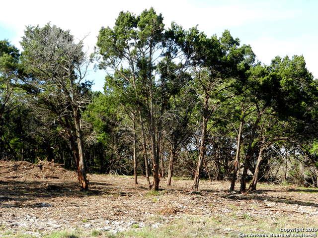 2077 (LOT 1242) Marsala - Photo 1