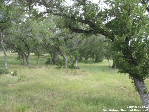 2487 George Pass - Photo 1