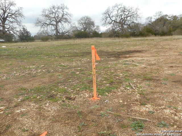LOT 1707 Brushy Curve - Photo 1