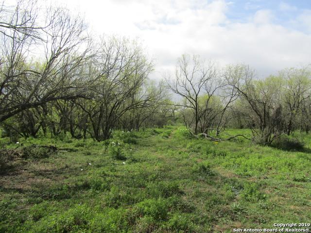 1142 Heickman Rd - Photo 1