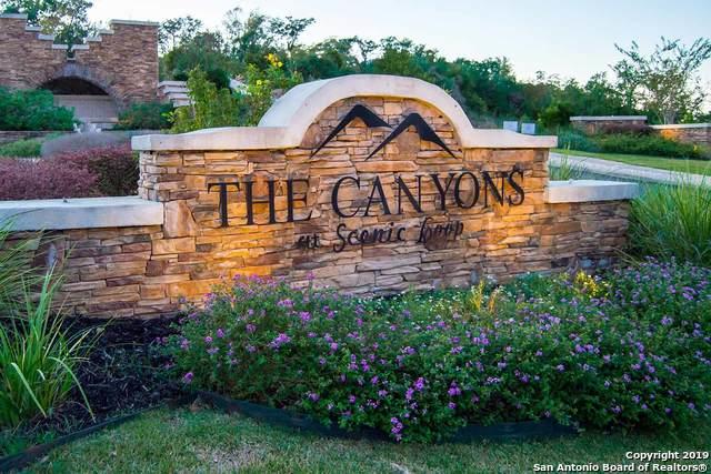 10103 Carson Springs - Photo 1