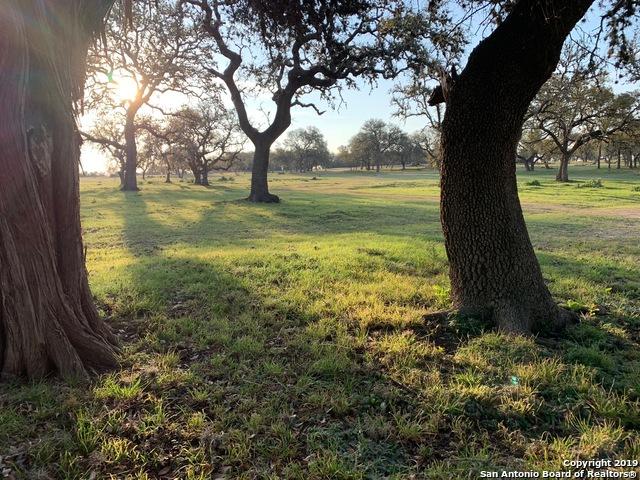 931 Fm 473 - Photo 1