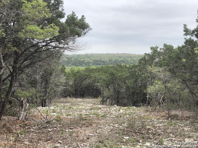 LOT 7 Horseshoe Bend - Photo 1