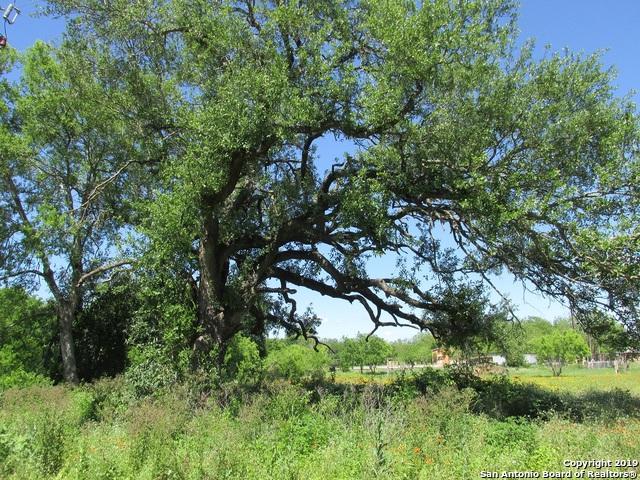 TBD County Road 5221 - Photo 1