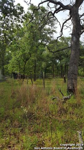 521 Blue Stem Rd - Photo 1